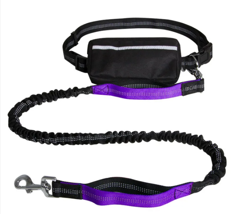 Freepaw hands-free dog leash in purple
