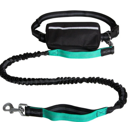 Freepaw hands-free dog leash in lake water green